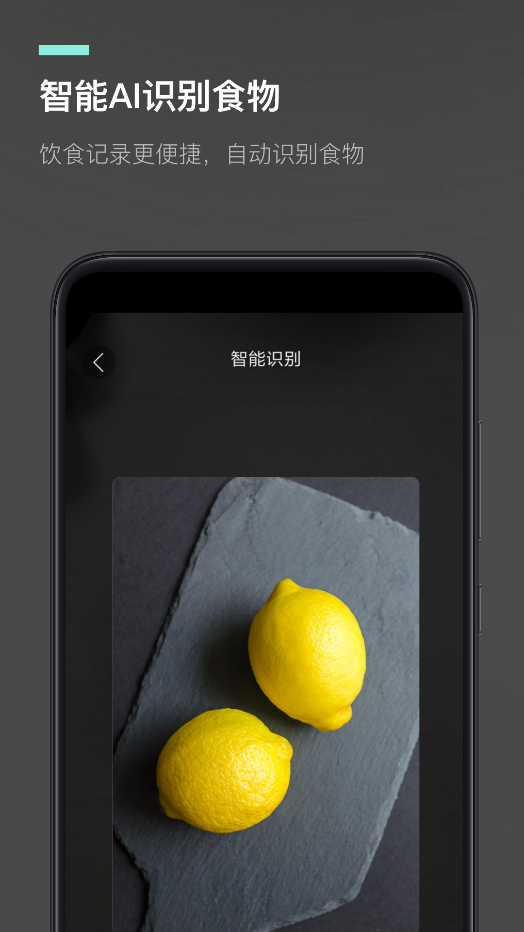 热量减肥法截图3