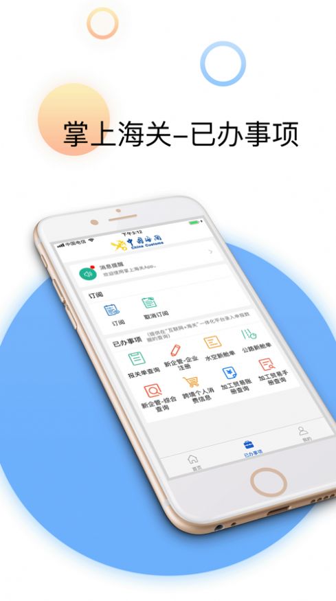 掌上海关截图3
