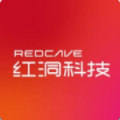 红洞数藏