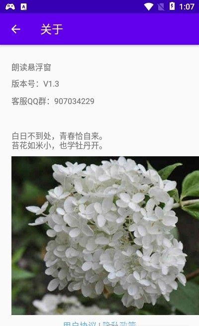 战火与永恒国际服截图2