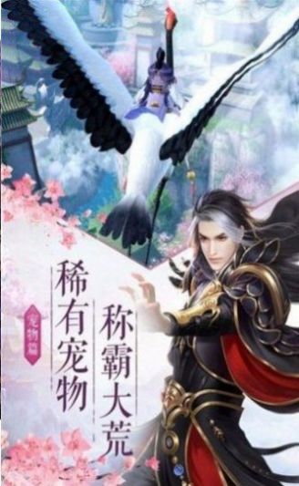 仙龙破天截图3