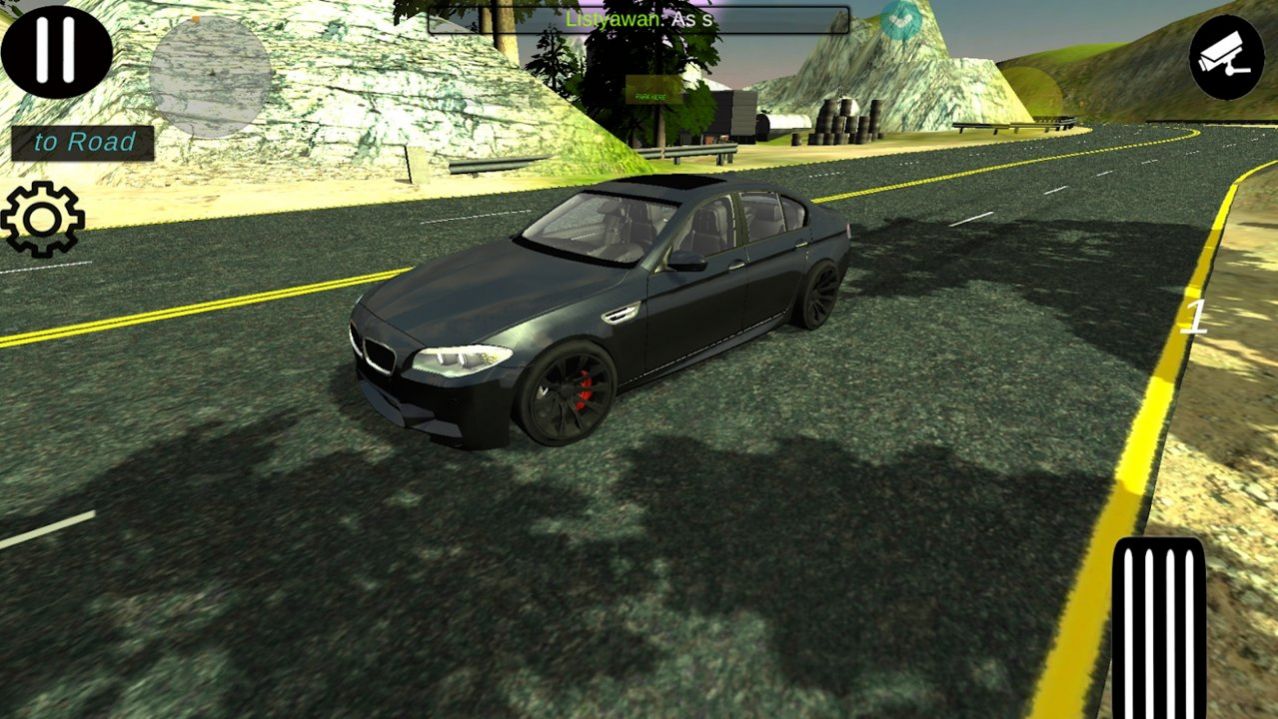Car Parking截图3