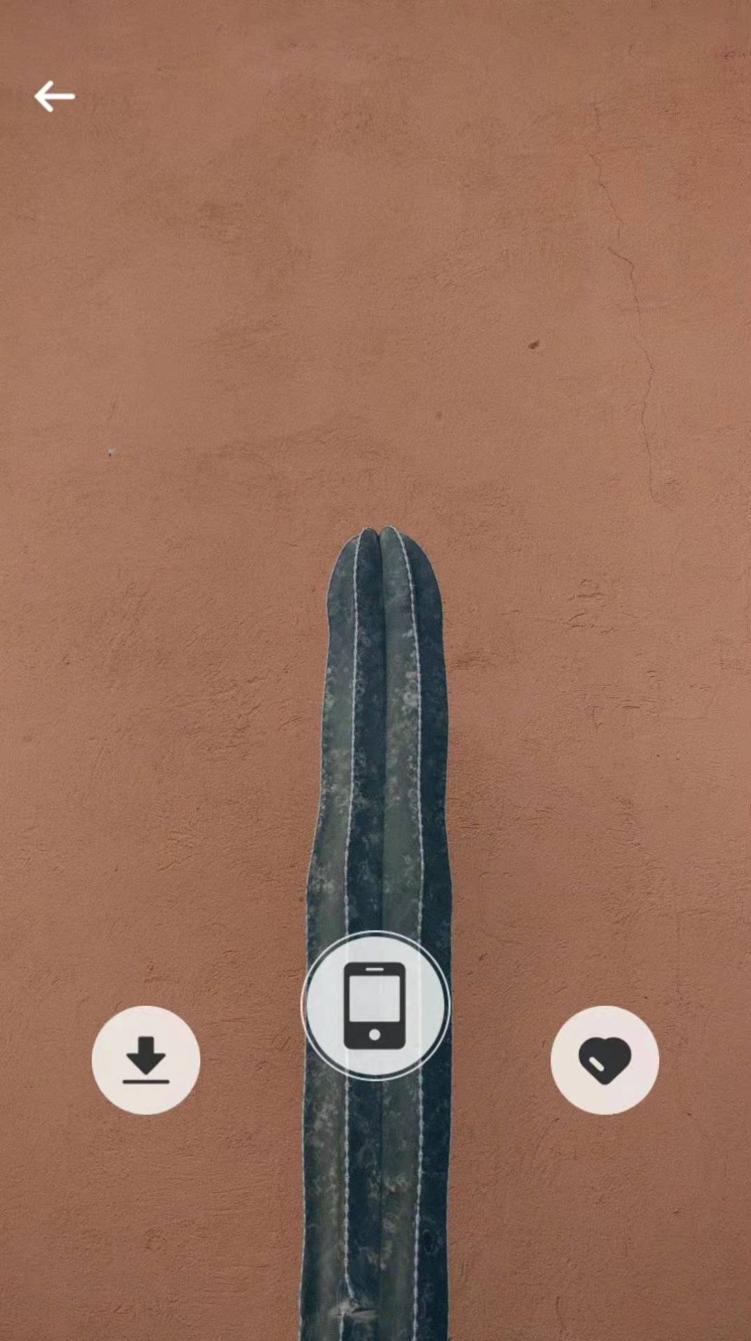 活力壁纸截图3