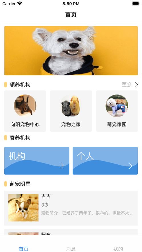 微小圈截图3