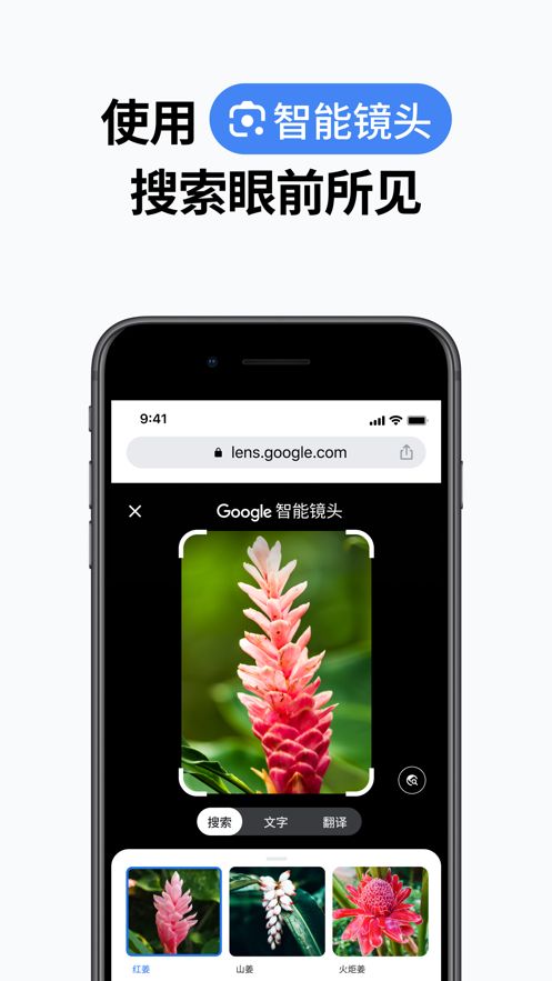 谷歌浏览器49版本下载官方版图片1