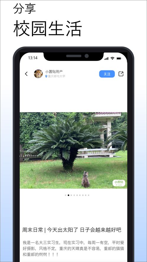 小圆贴截图3