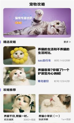 战火与永恒国际服截图1