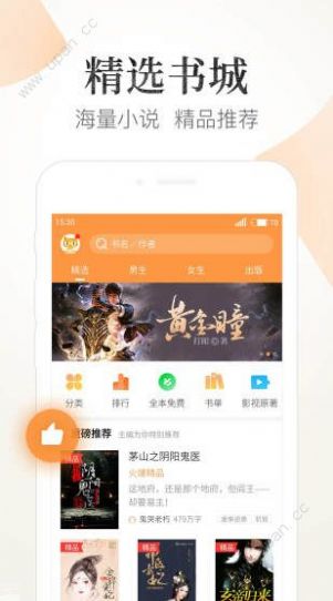 猫番茄小说截图3