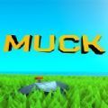 muck