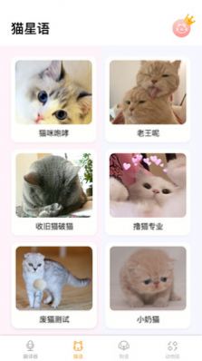 翻译猫语截图3