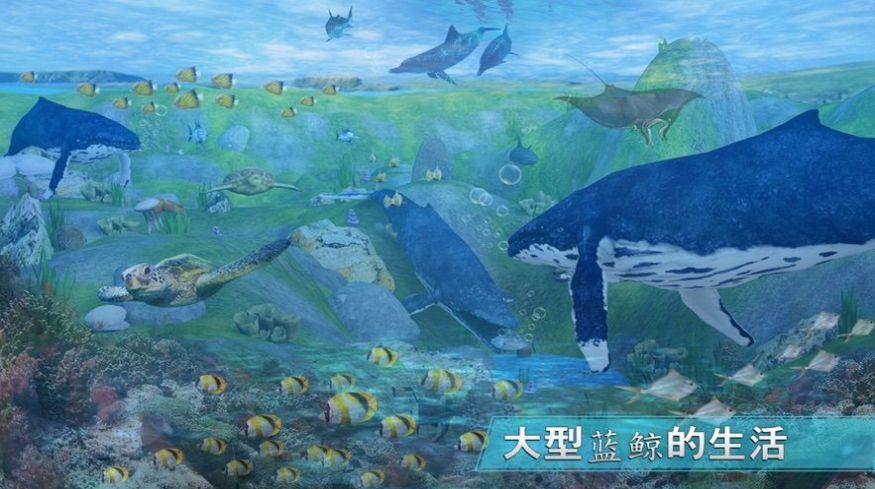 战火与永恒国际服截图2