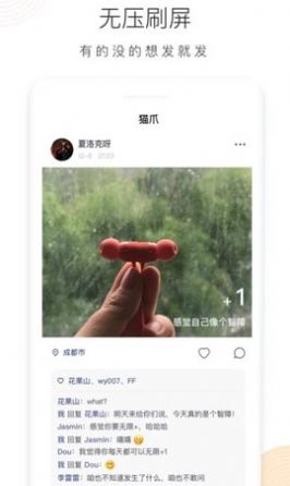 猫爪app老版本下载图片1