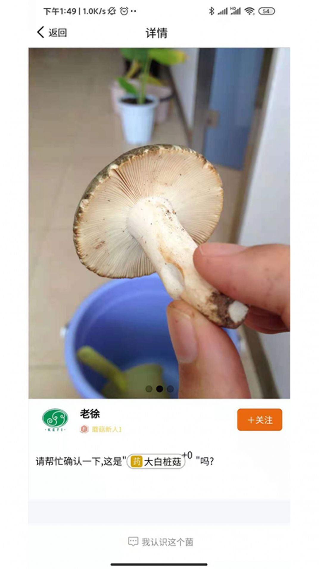 菌窝子拍照识菌软件app下载图片1